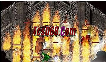 ���浥ְҵ�汾�治��