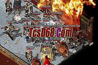 �ֻ���Ѫ��������