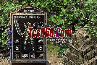 ��ְҵ���湥��