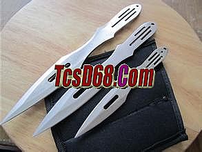 传奇1.76有手机版本吗