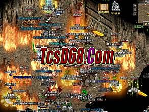 ����񵶸�������