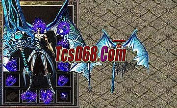 ����ʮ�������¼�