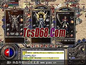 ��ְҵ����΢������